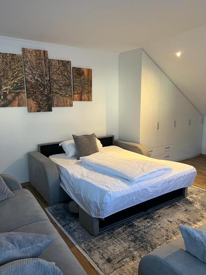 Apartament Alpina *